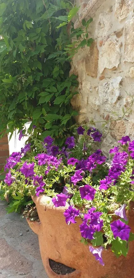 Borgo Al Cielo - Albergo Diffuso Apartment